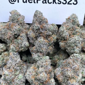 Plutoski 🚀🍬 #FR1