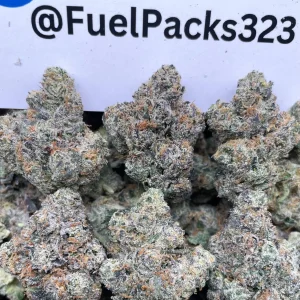 Cherry Prezi 🍒🍧 #FQ1