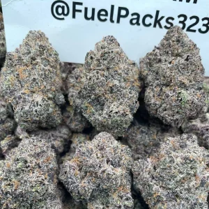 B.O.L.O 🌈🍭 #ED1