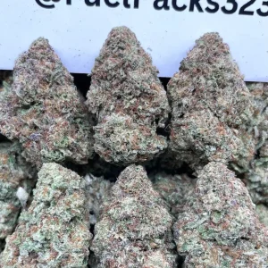 Budget Gasoline ⛽️🔥 #FL3